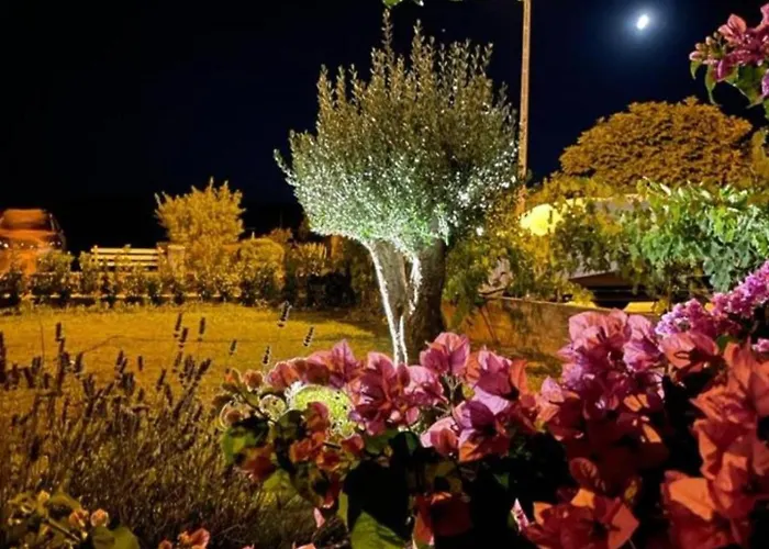 فيلة Seafront Oliva