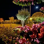 Villa Seafront Oliva