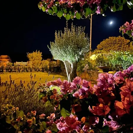 Villa Seafront Oliva